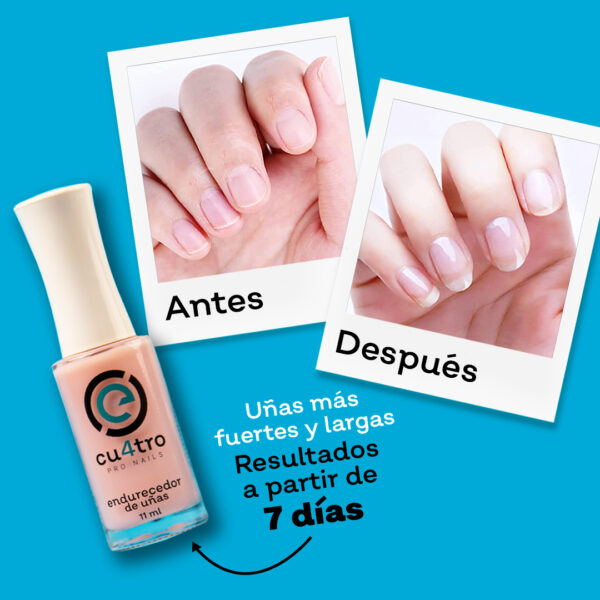 ENDURECEDOR DE UÑAS eCU4TRO - Imagen 2