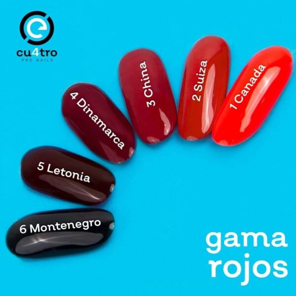 GEL INDIVIDUAL eCU4TRO (PART2) - Imagen 2