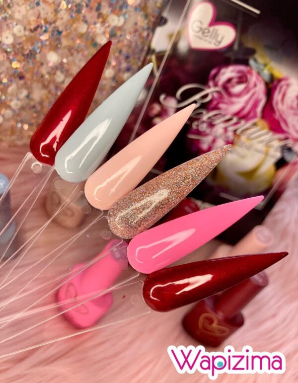 COLECCION DE GEL ROMANCE 6PCS WAPIZIMA